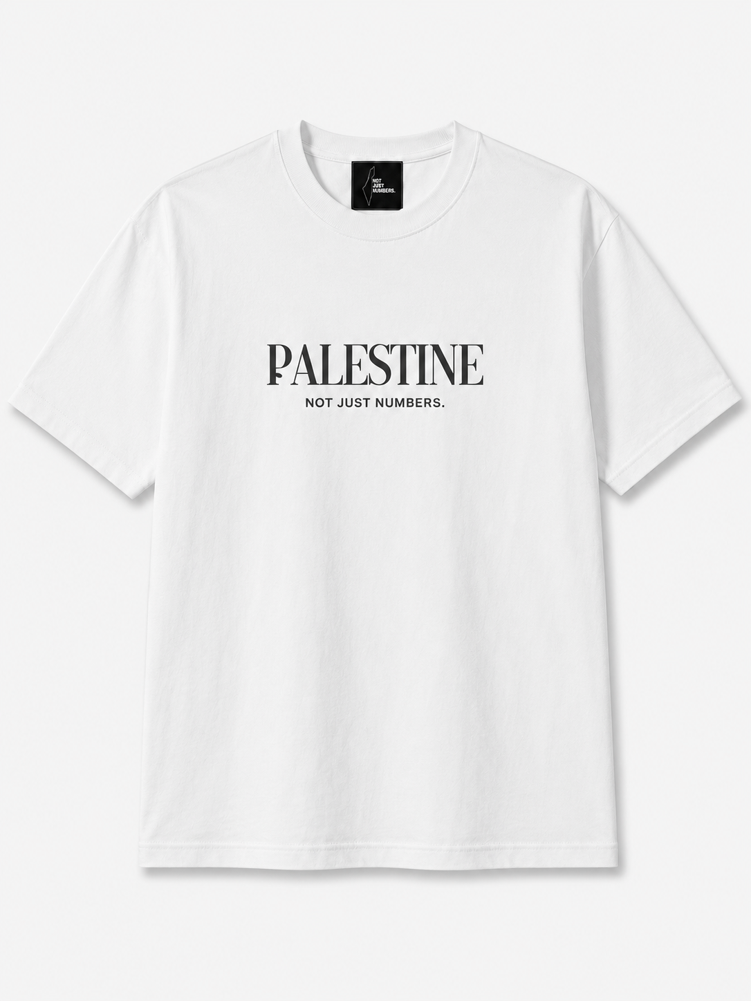 PALESTINE Graphic TEE